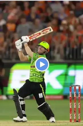 David Warner’s Comical LBW Confusion Lights Up BBL 2024-25
