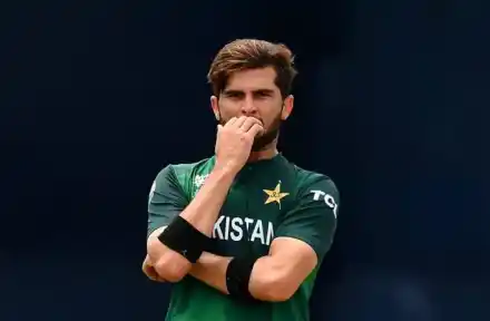 Watch: Tim Seifert Destroys Shaheen Afridi, Hits Four Sixes in One Over