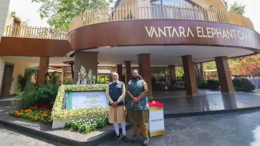 Virat Kohli, Sachin Tendulkar, and PM Modi applaud Anant Ambani’s Vantara for its efforts in wildlife rescue and conservation. Learn how this initiative is giving injured and abandoned animals a new lease on life. 