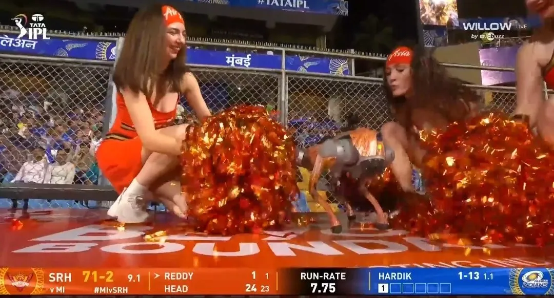 Robo Dog during MI vs SRH game