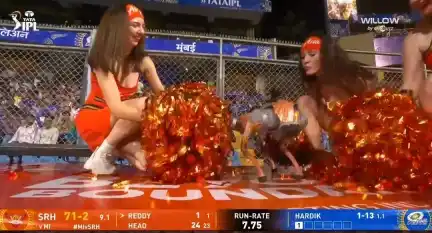 Robo Dog during MI vs SRH game