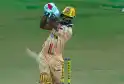 bat break.webp