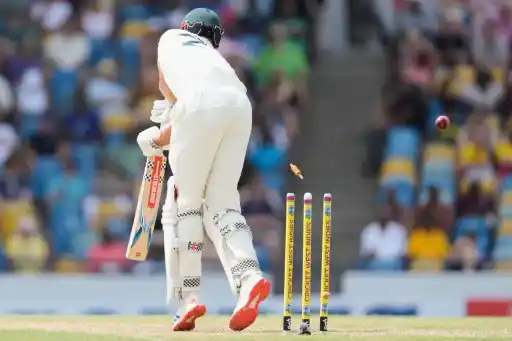 wivsaus.webp