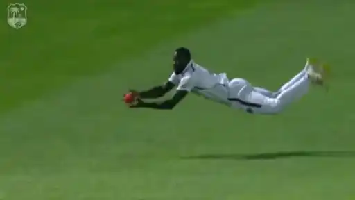 WI-vs-AUS-stunning-catch.webp
