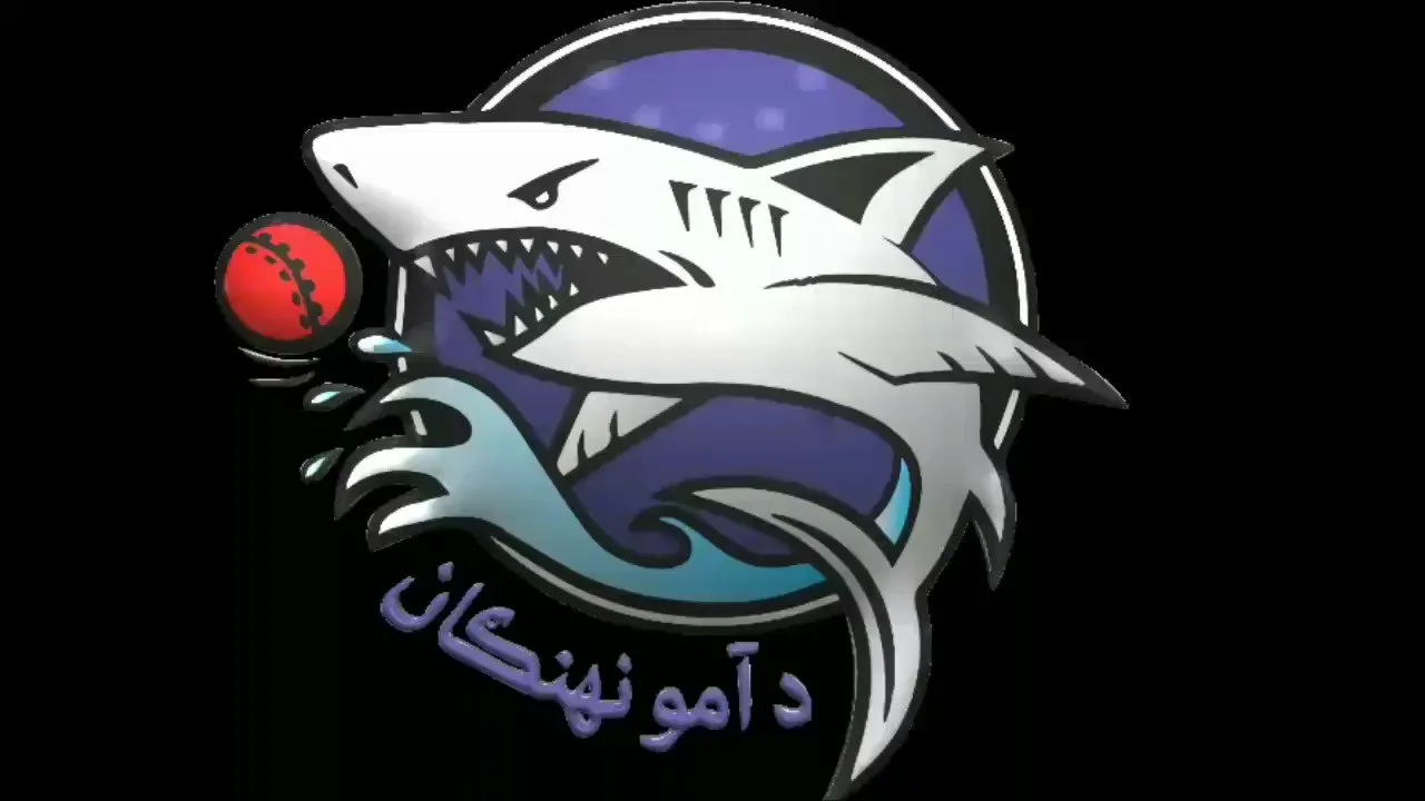 Amo Sharks