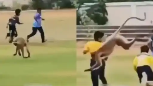 Monkey enters cricket field to attack young kids.