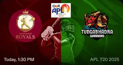 Andhra T20 league