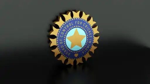 india-ball-(96).webp