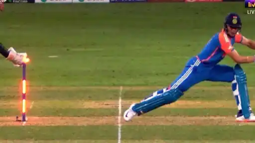 Gill-out.webp
