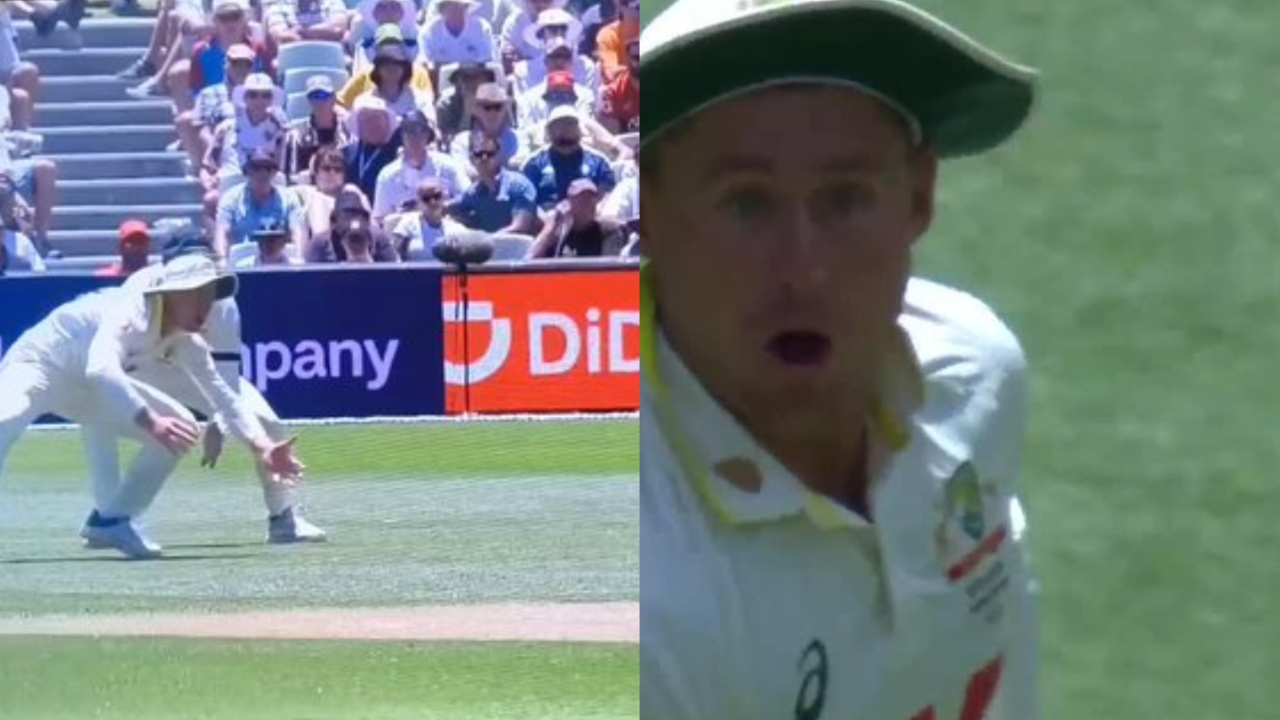 Marnus Labuschagne's one-handed spectacular catch dismisses Will Jacks 