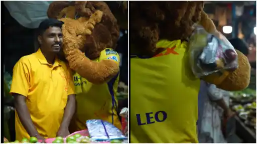 CSK IPL 2026