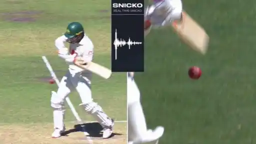 Alex Carey saved on human error in Snicko controversy.