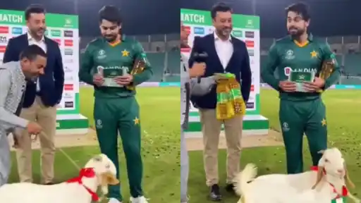 Pakistan Cricket fact check