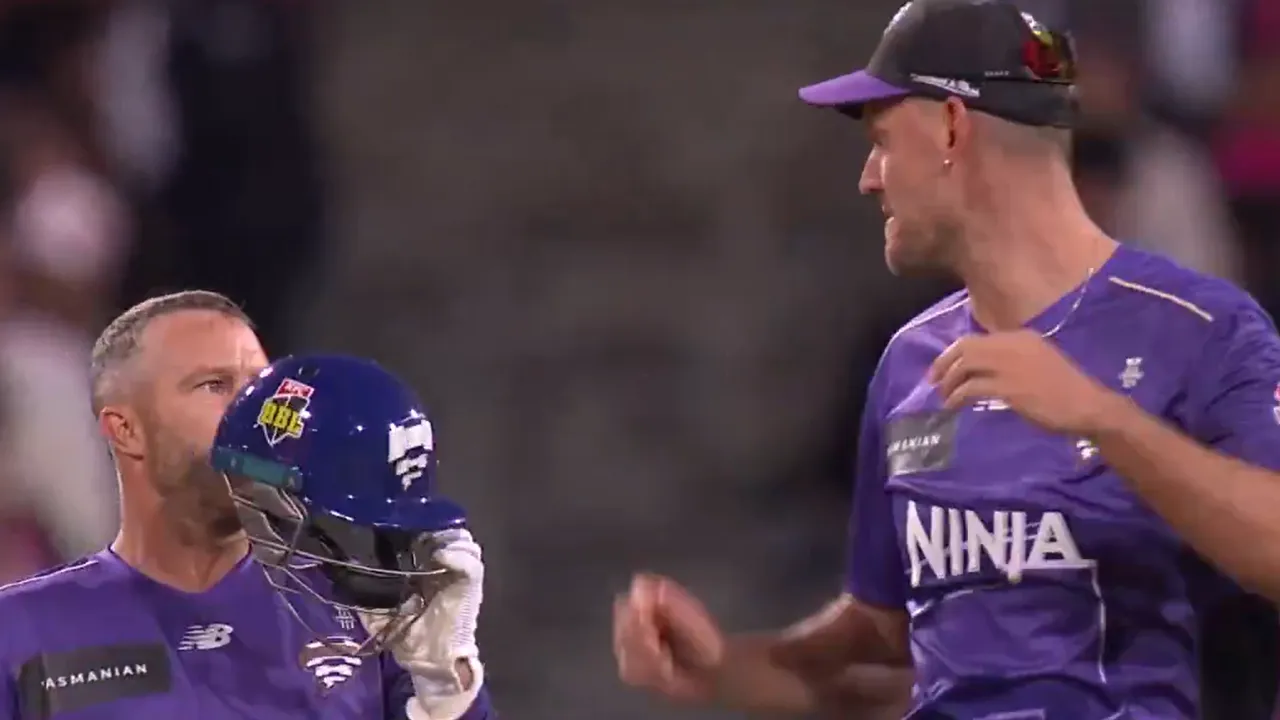 Matthew Wade and Beau Webster fight