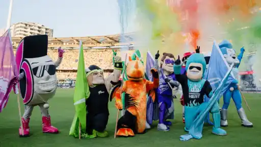 Unique designated batter and fielder ruled to be applied in BBL 2026/27