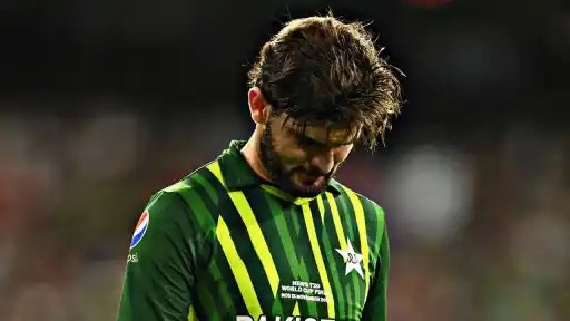 Collected Image- Shaheen Afridi