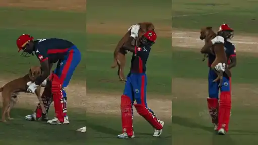 Abhishek Porel wins hearts after carrying a stray dog off the pitch during Delhi Capitals practice ahead of IPL 2026.
