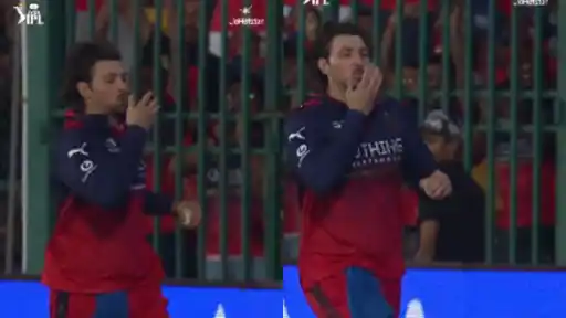Tim David takes a brilliant catch