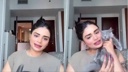 Shreyas Iyer’s sister shockingly names her cat ‘GG’
