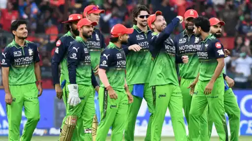 RCB's opener Phil Salt return update